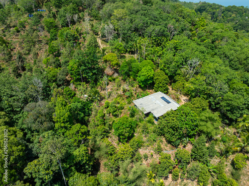 Aerial view Drone camera top view rainforest trees ecology with house in the forest trees background,Green environment background