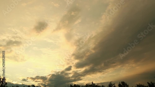 Timelapse video of dramatic golden moody sky with illuminated clouds, stormy formations, dark treetops at sunrise, cinematic atmospheric landscape background for nature. Travel, wallpaper, abstract