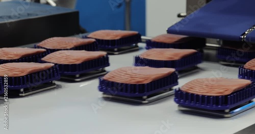 Automated conveyor sorts sliced ham before packaging in modern food factory. Precision carriers separate portions guiding each piece toward wrapping stage
