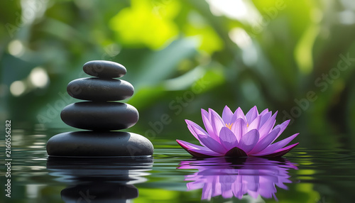 Spa still life with lotus and zen stone on water 