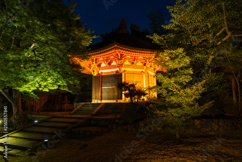 日本の風景・夏　京都　東福寺　青もみじライトアップ　愛染堂