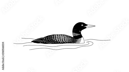 Minimalist Black and White Line Art Illustration of a Swimming Common Loon Bird