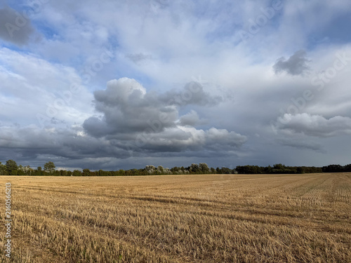 Harvested wheat field under cloudy sky in rural Germany