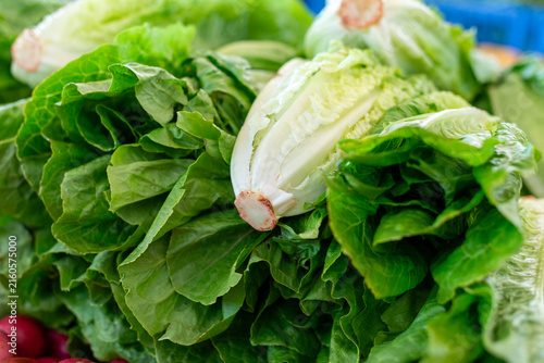 Large, healthy, raw heads of organic romaine lettuce piled on a table for sale at a farmers' market. The vegetable has lush green, crispy ribbed leaves with white stalks at the base.