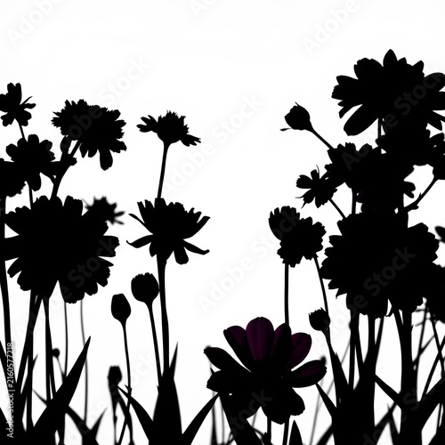 Black Flower Silhouettes Framing White Copy Space