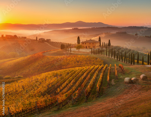 Scenic Tuscan rolling hills landscape with vineyard and farm house at sunrise