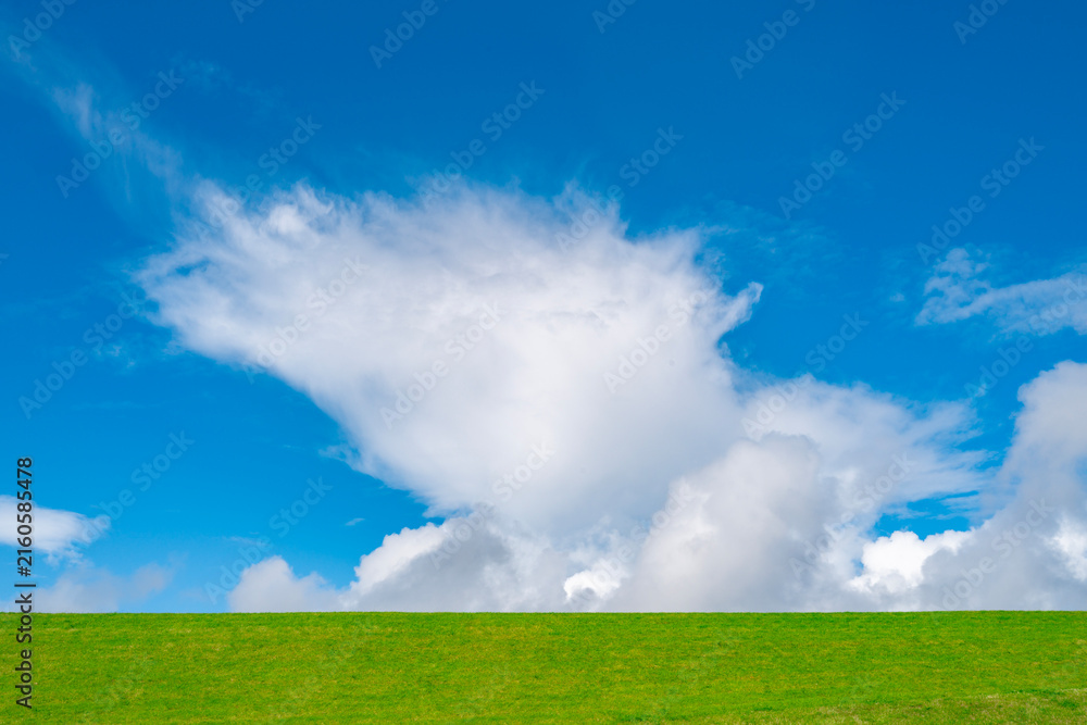 Naklejka premium Clouds above green meadow. Green meadow near clouds on vivid blue sky. Peaceful landscape with grassland. Background for nature and environment.