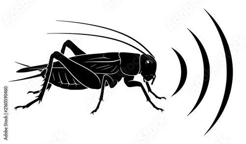 Fotografie Realistic cricket insect silhouette with long antennae and sound wave vector ill