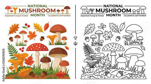 National Mushroom Month Assorted Fungi Forest Illustration with Autumn Leaves