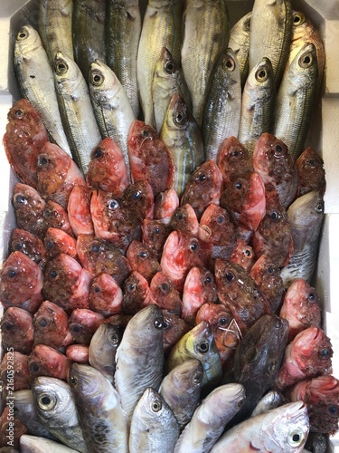 Fotografía Fresh fish in box. Fish ready for sale in market