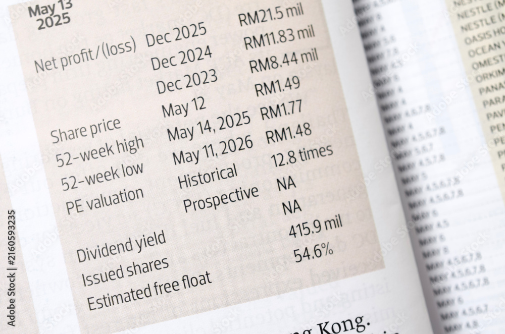 Obraz premium Company Financial Data Showing Net Profit, Share Price and Valuation for Stock Investment Analysis