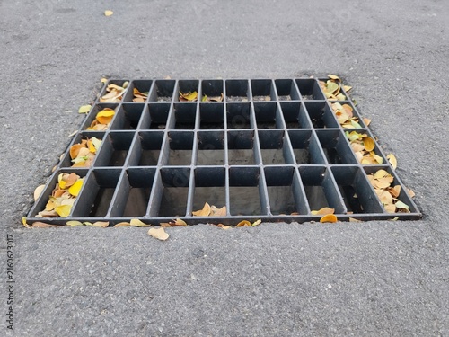Metal storm drain grate on asphalt road with dry autumn leaves, urban drainage and rainwater management infrastructure concept.