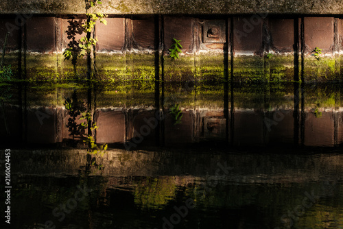 Photography Reflecting mossy wall in still canal water