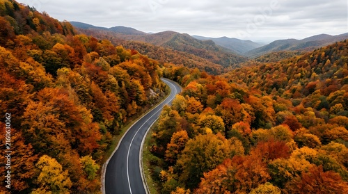 Winding asphalt road through a colorful forest in autumn mountains