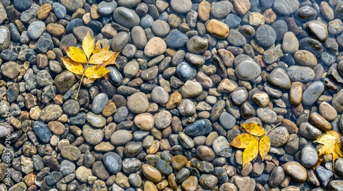 Yellow autumn leaves on smooth river stones underwater in shallow creek