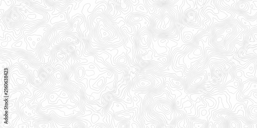 Cuadro en lienzo abstract white and black topography map relief spiral line wireframe isoline location diagram