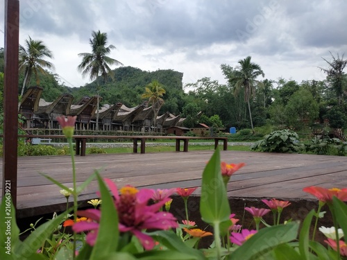 Photography Scenic view of traditional Indonesian Torajan ancestral wooden houses with palm trees and flowers under cloudy sky