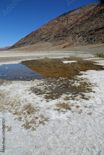 Reflection in Badwater Basin vertical - Death Valley National Park, California