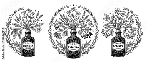 Botanical Illustration Set of Vintage Apothecary Bottles