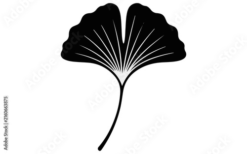 Minimalist ginkgo leaf vector symbol, black silhouette icon, botanical illustration, nature logo design element, Japanese tree leaf graphic isolated on White Background