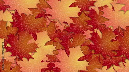 autumn maple leaves transition on transparent background, alpha channel