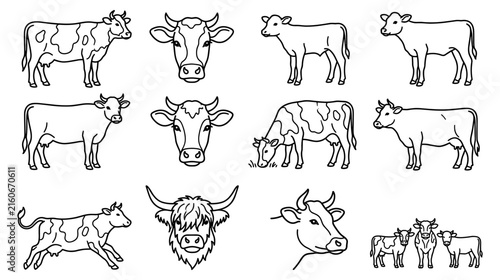 Farm Cow and Bull Line Art Collection with Hand Drawn Cattle Outline Illustrations for Agriculture, Livestock, Farming, Coloring Pages, and Designs