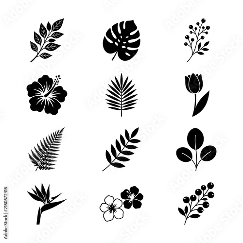 Black tropical leaves and flowers silhouette set, hibiscus monstera palm fern botanical elements isolated white background