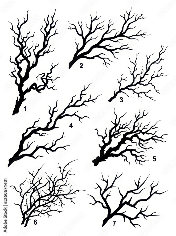 Obraz premium Collection of Seven Gnarled Bare Tree Branch Silhouettes Isolated on White Background for Design