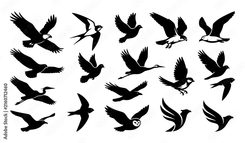 Naklejka premium Dynamic flying bird black vector silhouette collection for wildlife logo branding and minimalist animal design