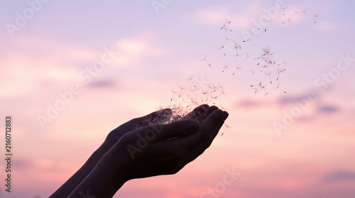 Hands blowing dandelion seeds into a soft pink and purple twilight sky, symbolizing making a wish, letting go, spreading seeds, growth, potential, fragility, wind, air, nature