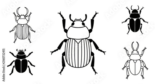 Bild auf Leinwand Black and white beetle insect illustrations.
