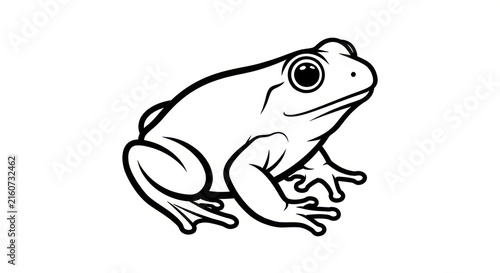 Fotografie Black and white frog illustration.