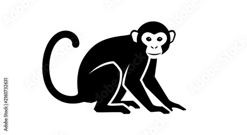 Photography Black silhouette of a monkey.