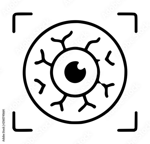 Minimalist black and white vector icon illustration of a human eye with detailed veins and focus brackets, representing biometric retina scanning, digital security, vision health, and sight.