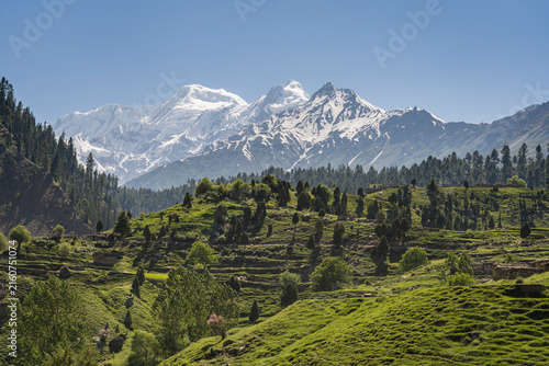 Rural mountain landscape view on mighty Nanga Parbat from lush Rama valley, Astore, Gilgit-Baltistan, Pakistan