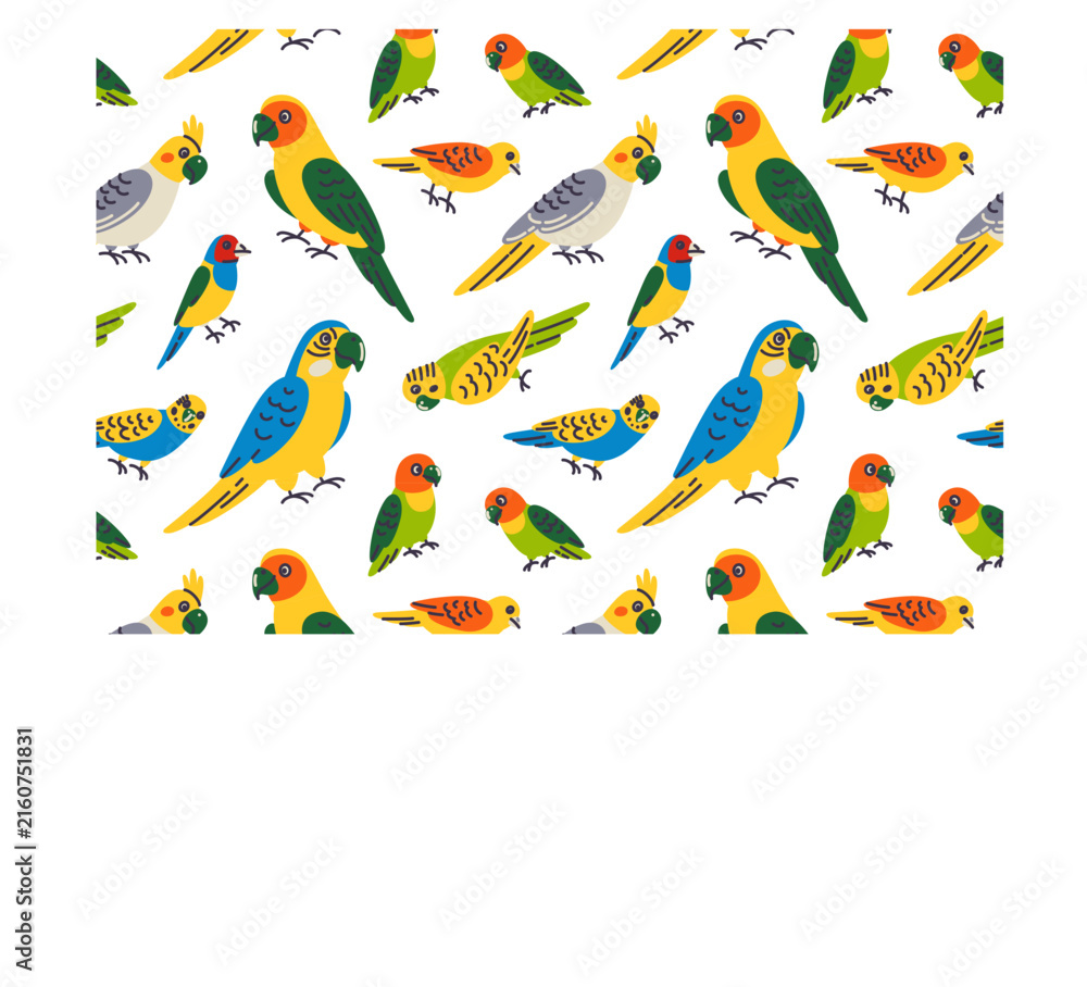 Obraz premium Pet birds seamless pattern with flat cartoon cockatiels, budgerigars, lovebirds and Gouldian finches. Vector illustration for exotic bird species and aviary theme, cute pet birds background