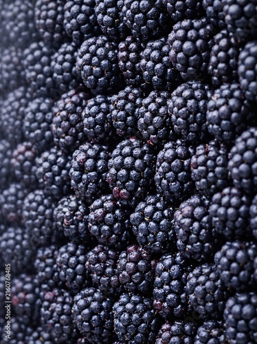 Macro shot highlighting the intricate details and rich, dark hues of a bountiful collection of fresh, ripe blackberries