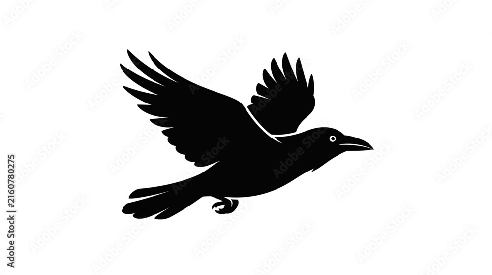 Fototapeta premium Black Flying Raven Bird Silhouette Vector