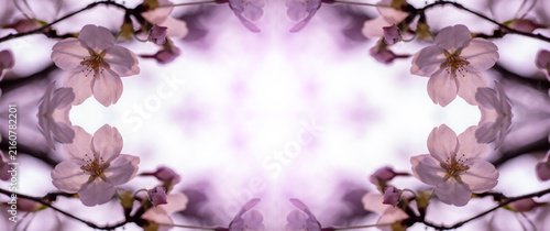 фотографія Beautiful floral frame background with symmetric cherry blossom flowers for desi