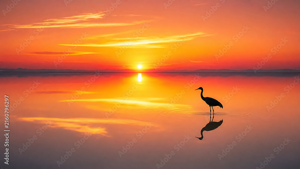 Fototapeta premium Serene Crane Silhouette at Sunset Over Calm Water