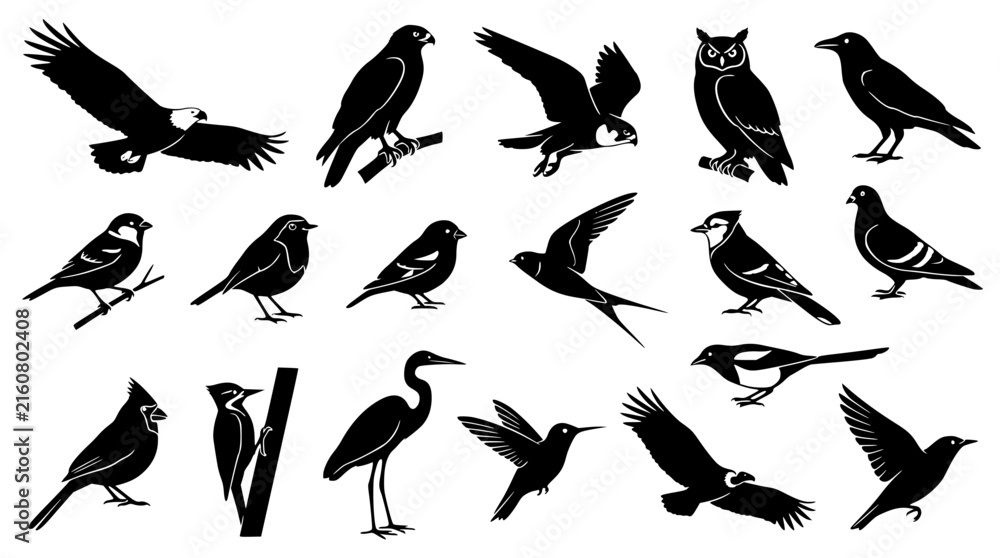 Naklejka premium Detailed Bird Silhouette Collection with Eagle Owl Crane Blue Jay Cardinal Hummingbird and Songbirds for Nature Wildlife Graphic Designs and Logos