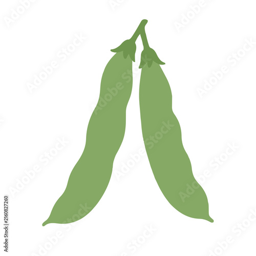 Hand-traced vector illustration of a pair of fresh green bean pods hanging from a stem, flat design botanical clip art icon for healthy food themes