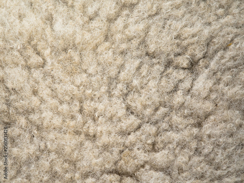 Fotografía Japan - August 17, 2026: Closeup of wool or fleece of a live sheep