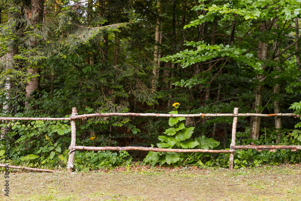 Naklejka premium Rustic wooden fence with a single sunflower and forest backdrop for countryside background and banner design