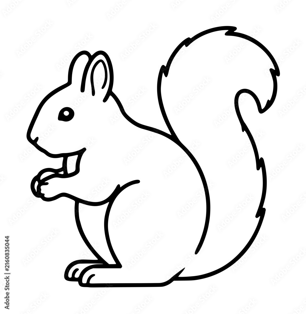 Naklejka premium Hand-traced vector outline icon illustration of a cute squirrel sitting upright holding a nut in its paws, simple black line drawing for coloring books, wildlife clip art and nature designs