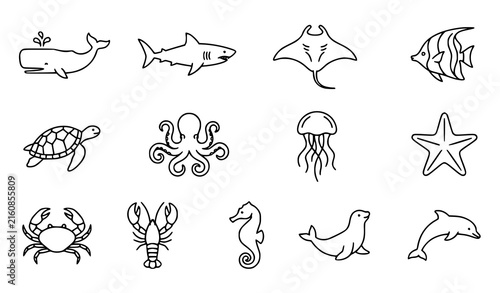 Photography Hand drawn ocean animal illustrations collection featuring whales, sharks, dolph