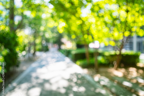 Abstract blurred vibrant green city park background with sunlit pedestrian walkway and trees