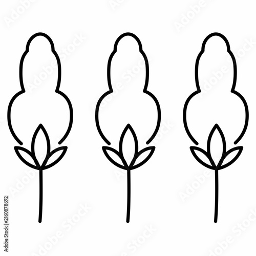 Línea minimalista de tres cápsulas de algodón