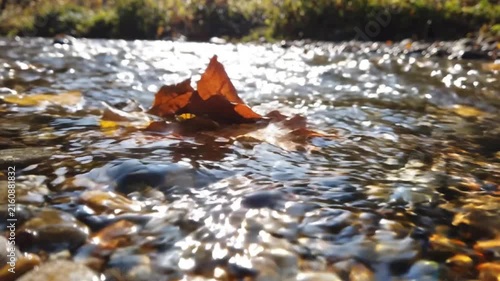Autumn leaf floating in a shallow flowing stream, surrounded by smooth stones, sparkling water, and warm sunlight creating a peaceful seasonal nature scene