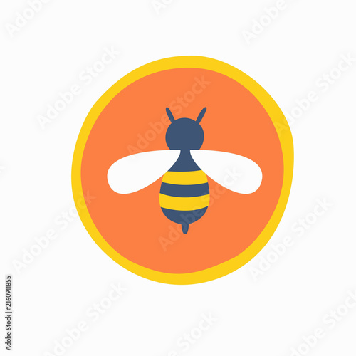 Fotografie bee on white background